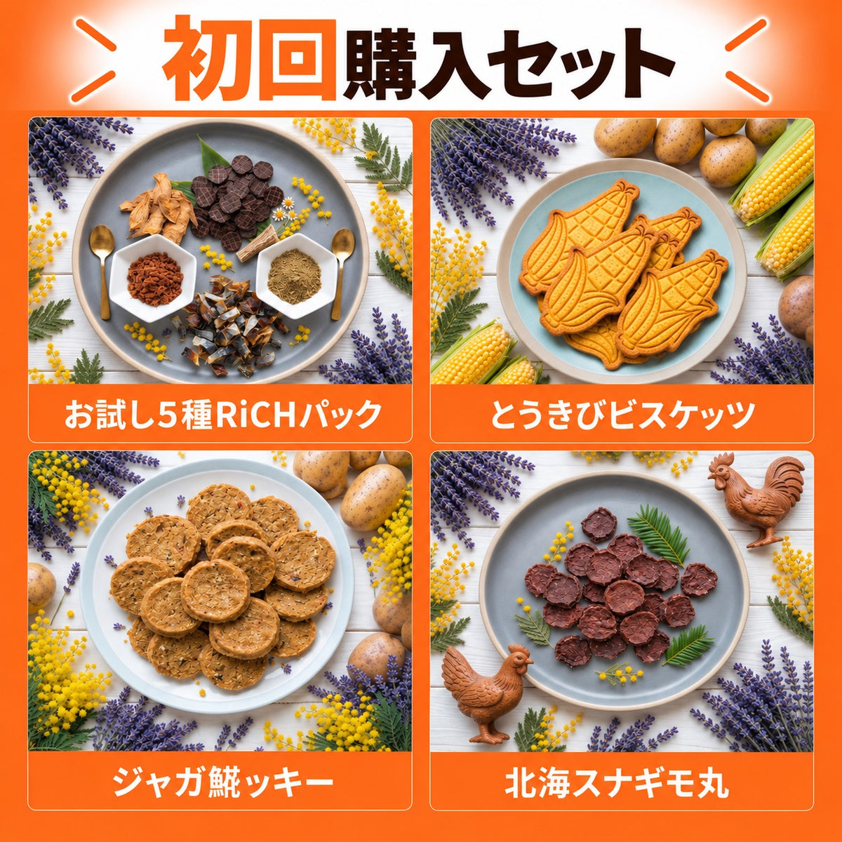 【1世帯1回限り】LiFE UP 初回限定お試しセット