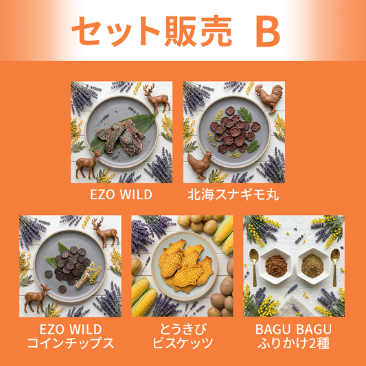 【セット販売】Bセット