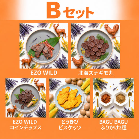 【セット販売】Bセット